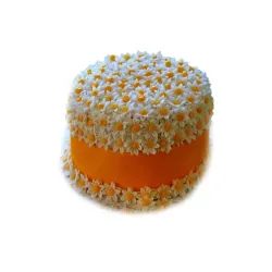 Cake de Ocasión (12 comensales) - 150574