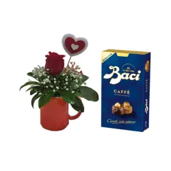 Jarrita con una rosa para regalo + caja de bombones - 267692