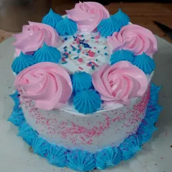 Minicake 