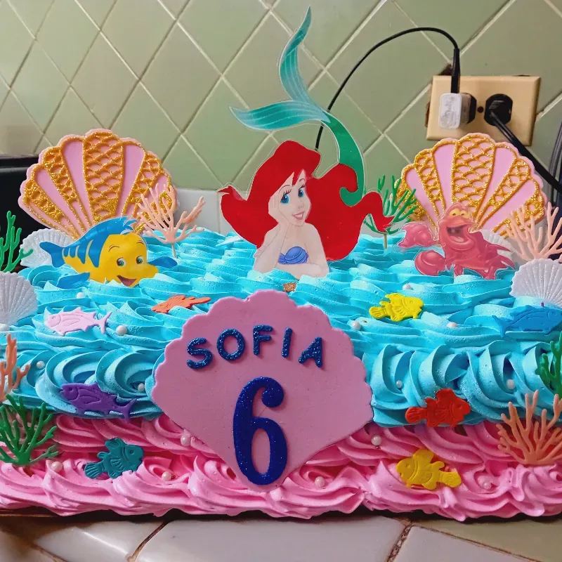 Cake rectangular 33x20x10