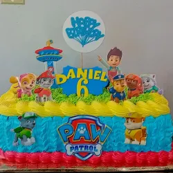 Cake rectangular 33x20x10