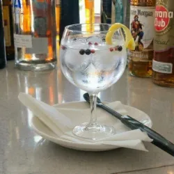 Gin Tonic