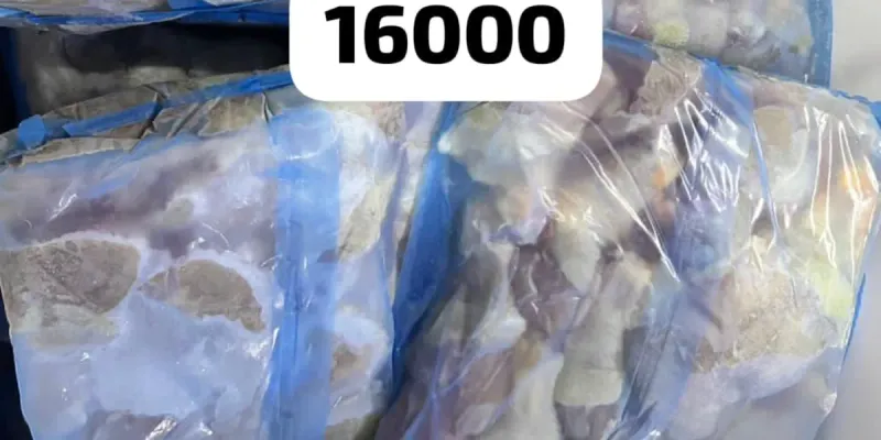 ✅️ Pollo 40lb muslo: 16000 cup