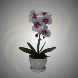 Orquídeas Artificiales