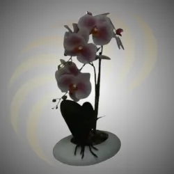 Orquídeas Artificiales