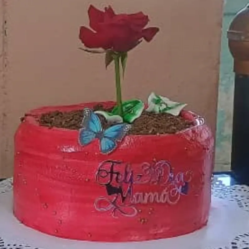 Pastel maseta