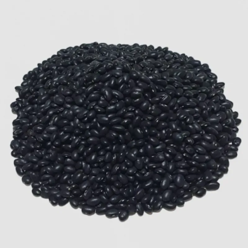 Frijoles Negros (1lb)