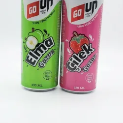 Refresco Go Up .330 ml