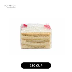 GALLETAS DELICRAKERS | 250 CUP (VPT)