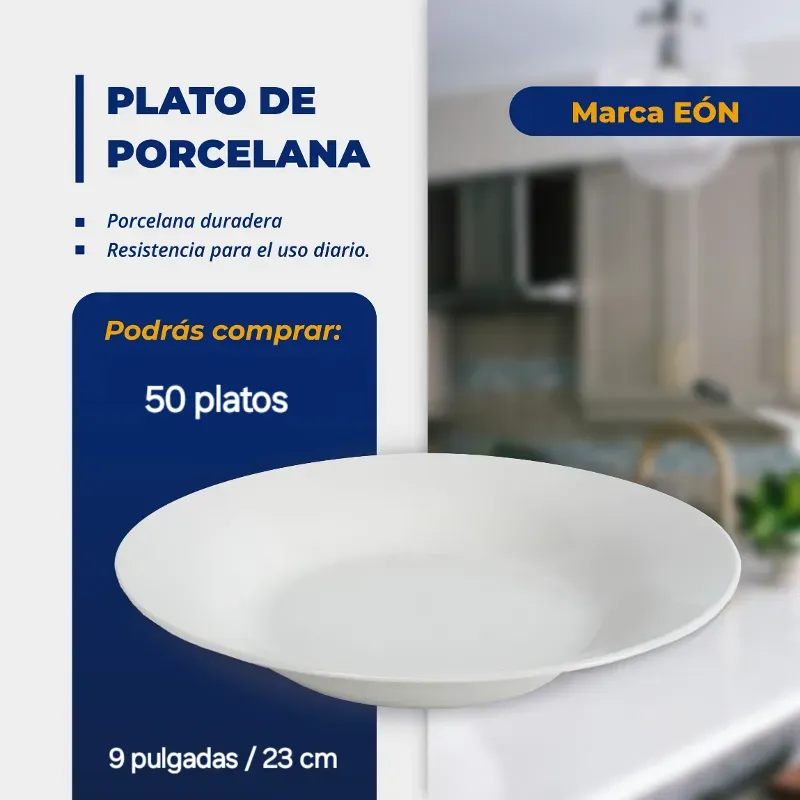 SET DE 50 PLATOS DE PORCELANA BLANCOS (FAD)