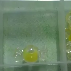 Caramelo amarillo