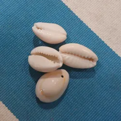 Separador de Caracoles Naturales