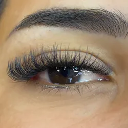 Wispy Híbrido