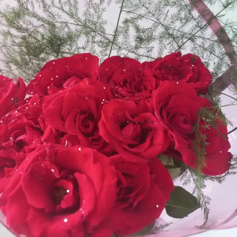 Ramo de rosas naturales