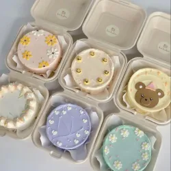 Lounch Cake Box