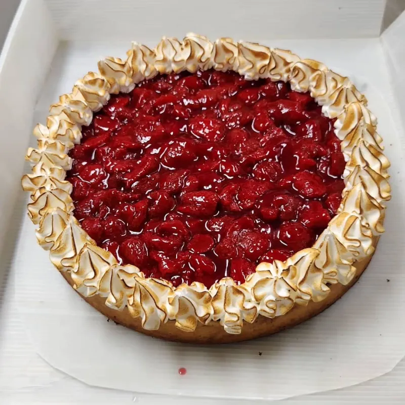 Trozo de fresa