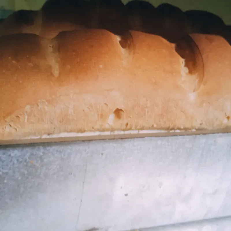 Pan de molde 