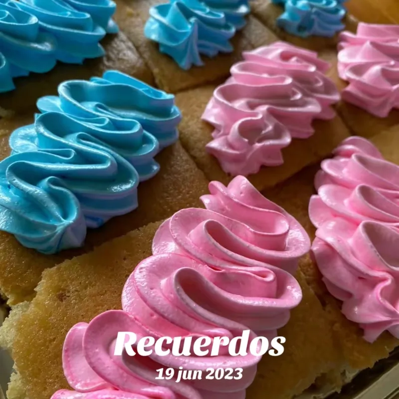 Panetelas borrachas 