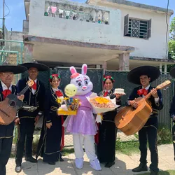 Combo #1 completo 🪇🍰💐🧸