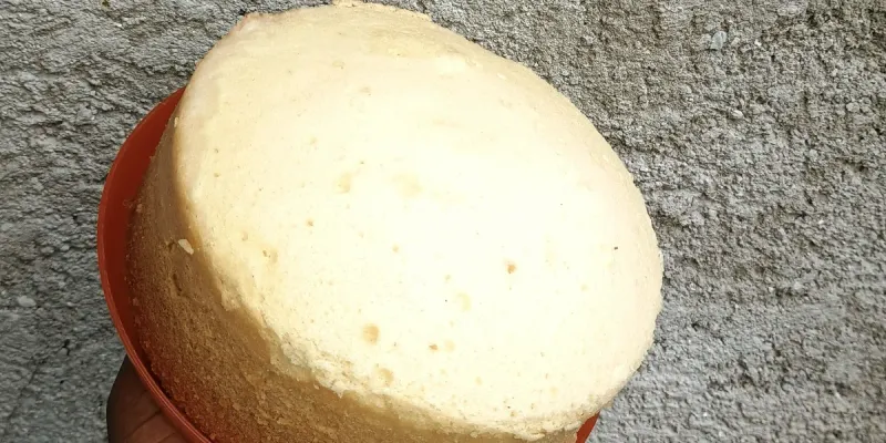 Panetela sencilla 