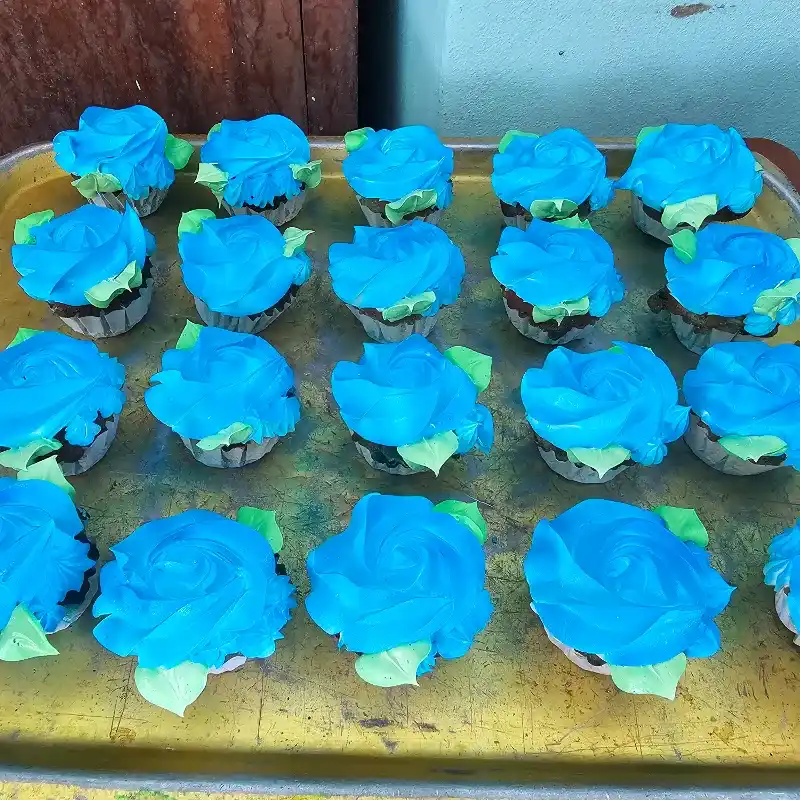 Cupcakes 