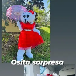 Osita Sorpresa 
