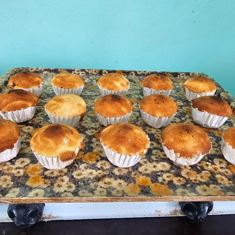 Ponquesitos