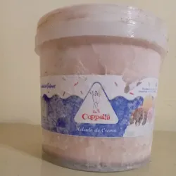 Helado Coppelia de Chocolate 