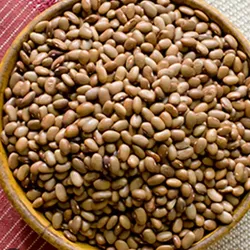 Frijol bayo