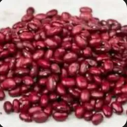 Frijol colorado