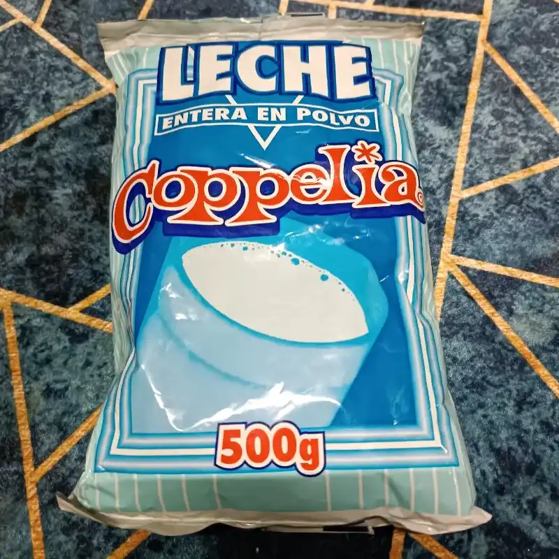 Leche en polvo 500g