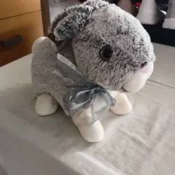 Conejo
