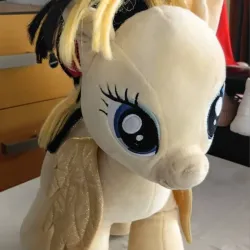 Pony