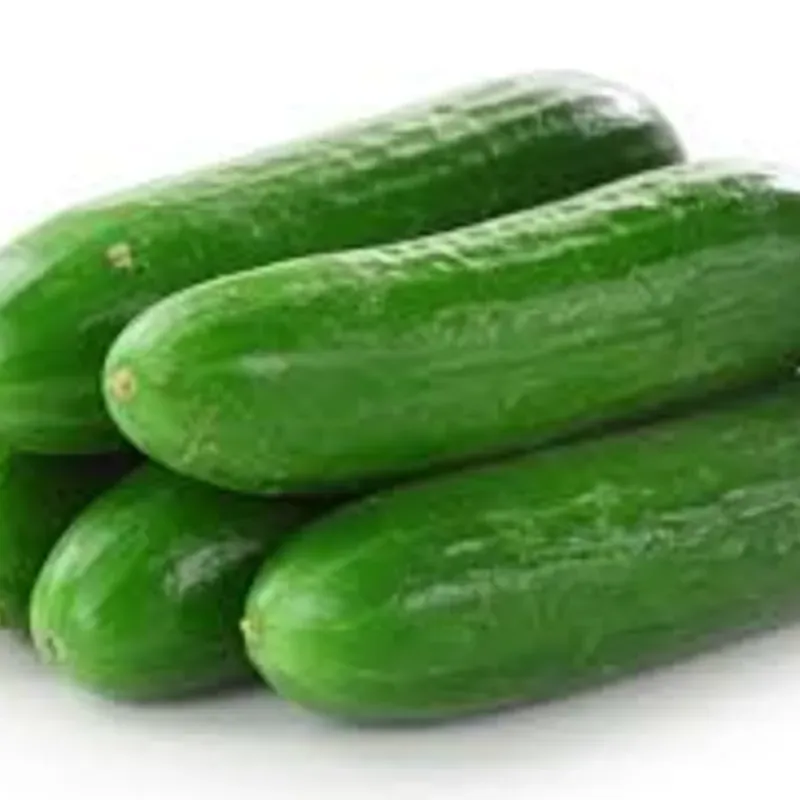 5lb de Pepino