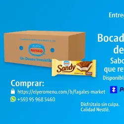 Bocadito de Helado Sandy