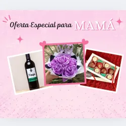 Oferta Especial