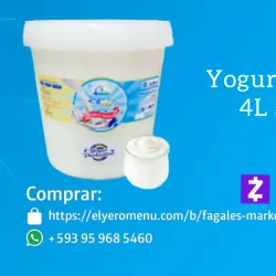 Yogurt Natural 4L sellado