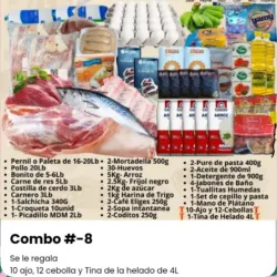 Combo 33