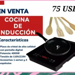 Fogon de Induccion mas Sarten y 4 Espatulas 