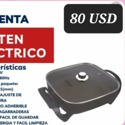 Sarten Electrico 
