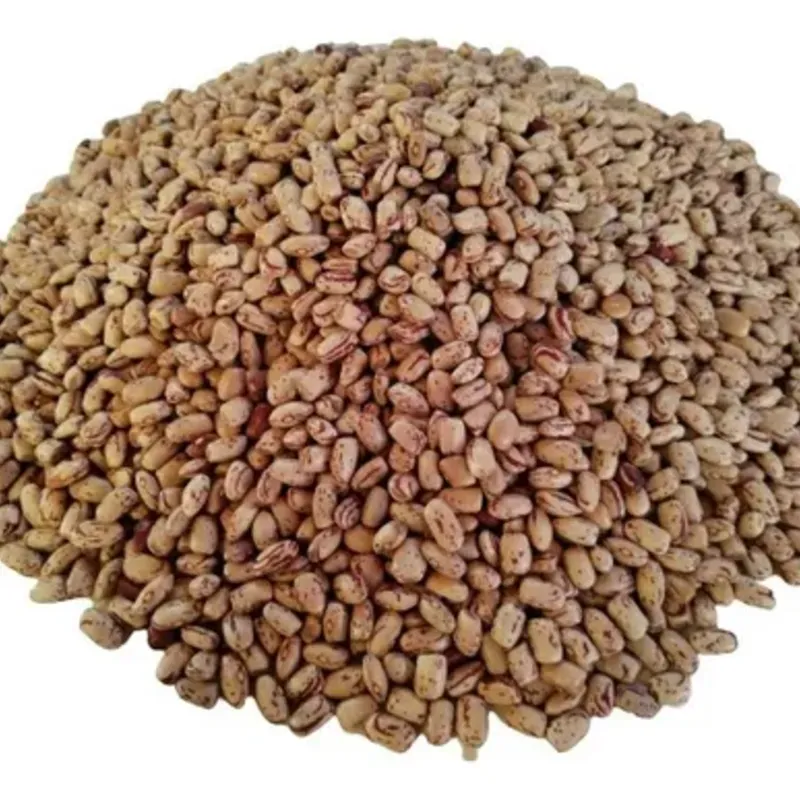 Frijoles bayos