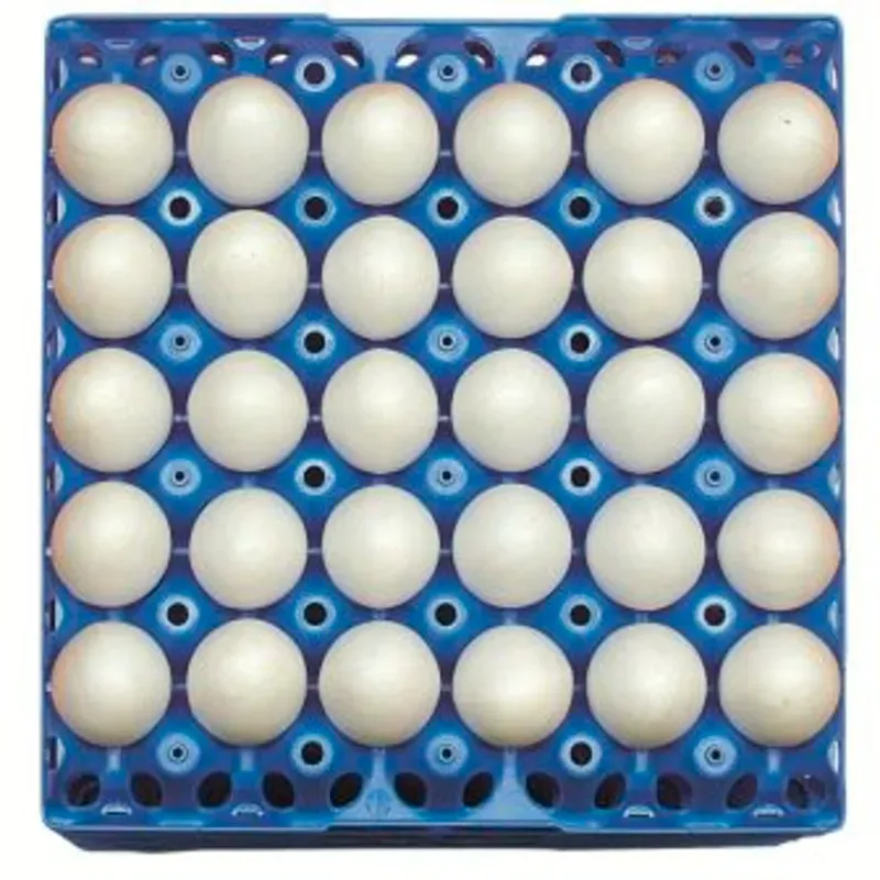 Huevos