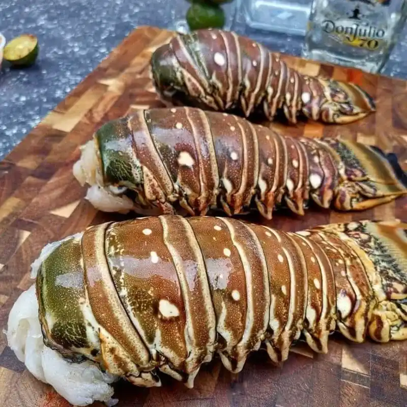 Langosta