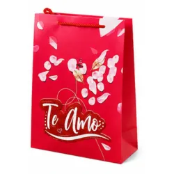 Bolsa de regalo (cartulina)