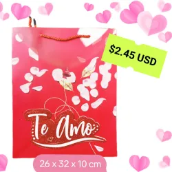 Bolsa de regalo (cartulina)