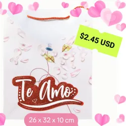 Bolsa de regalo (cartulina)