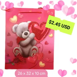 Bolsa de regalo (cartulina)