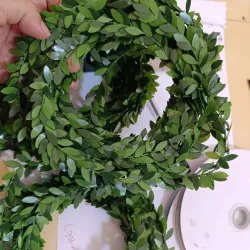 Enredadera de 5 metros con hojas pequeñas 🌿