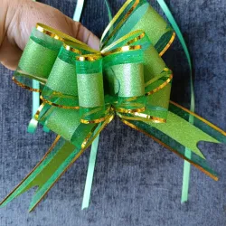 Lazo mágico grande, color verde con bordes dorados
