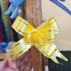 Lazo mágico o moño pequeño 🎁